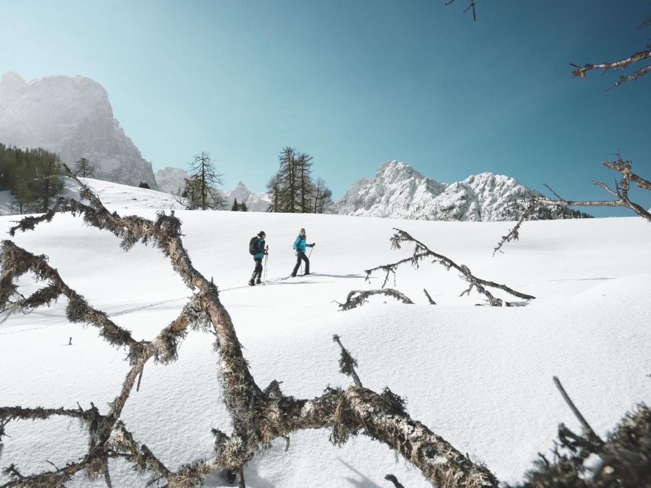 Alpengasthof Pichler Sankt Veit in Defereggen Exterior photo